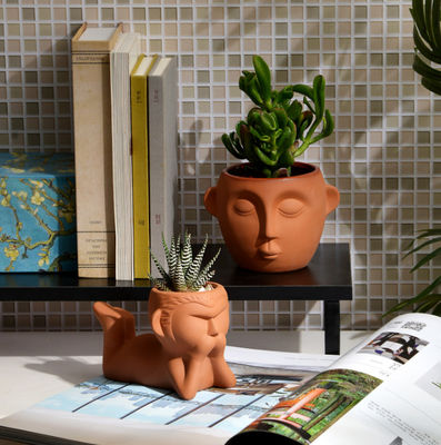 실내 소형 테라코타 식물 냄비 얼룩 저항성