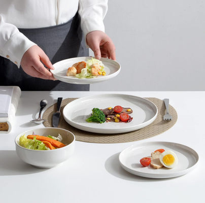 화려한 불분열 메라민 식탁용품 BPA 없는 세트