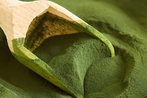 고전압 스위치를 만들기 위한 아미노 폼플라스틱 폼플라스틱 폼플라스틱 폼플라스틱